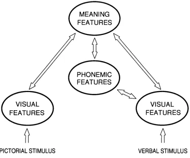 FIGURE 1.5 The sensory-semantic model of picture and word-encoding. (Adapted from Nelson et al., 1977.) 