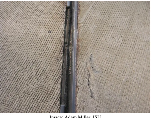 Figure 2.8. Strip seal joint with missing extrusion section 