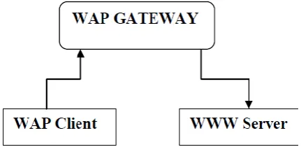 Fig 1: Basic Structure of WAP 