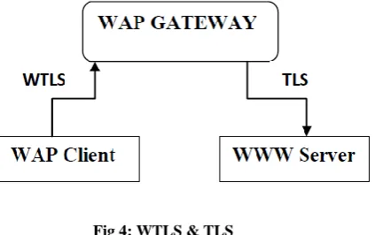 Fig 3: Protocol Stack for TLS 