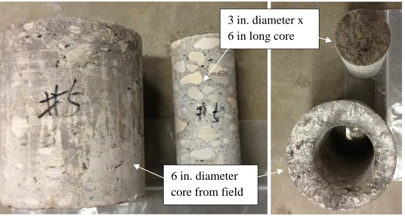 Figure 9. Pictures of field 6 in. cores and 3 in. cores 