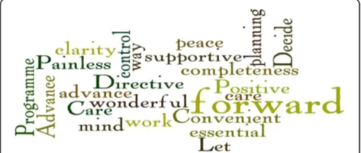 Fig. 1 Wordle of descriptors of the ‘Let Me Decide’ programme