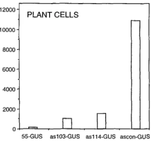 Figure  3.  GUS activity in stably transformed plant cells.  G U S   activity  (pmol MU mg-'  protein  min-')  was  measured  in early  stationary-  phase  tobacco  BY2  cells  transgenic  for  chimeric  genes  with the  as  elements  indicated  or  the  c