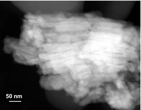 Figure 5. Z-contrast-STEM image of an enamel grain of about 600 nm in the size. 