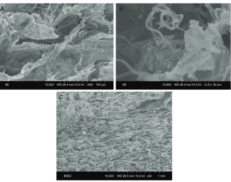 Figure 2 relative intensity of the main peaks of ha and Fe3O4.Abbreviations: ha, hydroxyapatite; Fe3O4, magnetite.