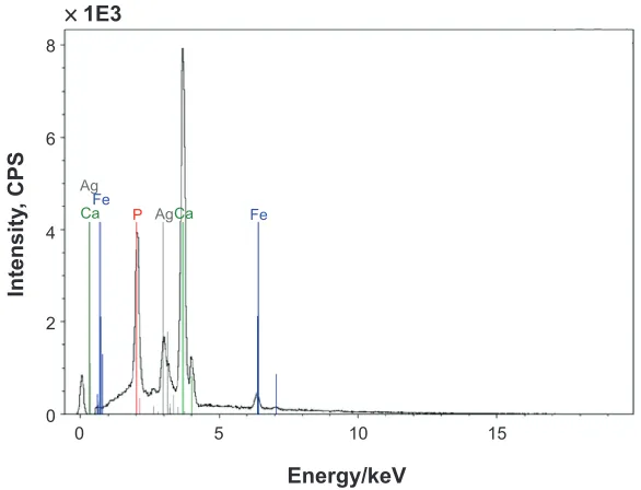 Figure 6 elemental assignment of the energy-dispersive X-ray spectroscopy peaks (cOll/ha-Fe3O4-cisPt obtained for a sample with seven layers).Abbreviations: cOll, collagen; ha, hydroxyapatite; Fe3O4, magnetite; cisPt, cisplatin; cPs, counts per second.
