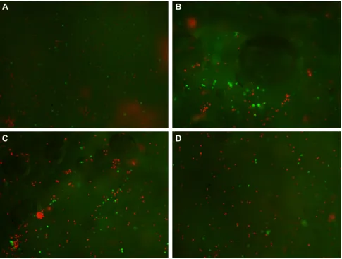 Figure 9 Cisplatin release profile from the four COLL/HA-Fe3O4-cisPt materials obtained by the lbl technique.Note: aindicates that the samples contain Fe3O4 and were obtained by lbl1,3,5 or 7.Abbreviations: cOll, collagen; ha, hydroxyapatite; Fe3O4, magnetite; cisPt, cisplatin; lbl, layer-by-layer.