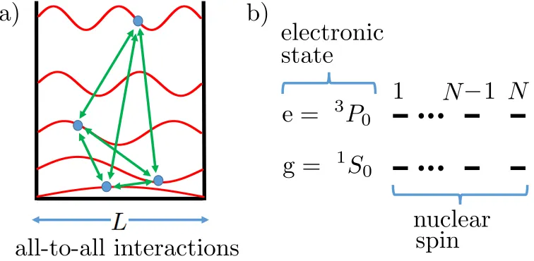 Figure 1.1:(a) Contact interactions between atoms in the orbitals of a one-dimensional inﬁnite square well of width L are all-to-all with equal strength