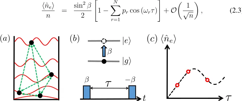 Figure 2.1: Optimal spectrum estimation with alkaline-earth atoms. (a) n copiesof an N-dimensional density matrix ˆρ are stored in the nuclear spin of n fermionicalkaline-earth atoms trapped in the same square-well trap and prepared in theirground electron