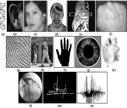 Fig 1: Examples of biometric characteristics: (a) DNA, (b) ear, (c) face, (d) facial thermogram, (e) hand thermogram, (f) hand vein, (g) fingerprint, (h) gait,(i) hand geometry, (j) iris, (k) palmprint, (l) retina, (m) signature, and (n) voice 