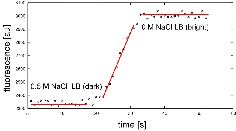 Figure 3.2: Fluorescence signal of the medium as a function of time during the mediumexchange in a ﬂow chamber