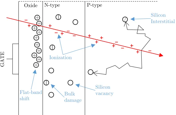 Figure 1.8 Types of radiation damage (adapted from [19]). 