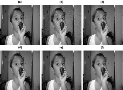 Fig 4:Denoising results for Lena image: (a)  Original image; (b) Noisy image (