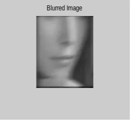 Figure 3(d) Blurred Image Part D 