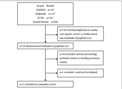 Fig. 1 Flow diagram for the selection of publications for systematic review