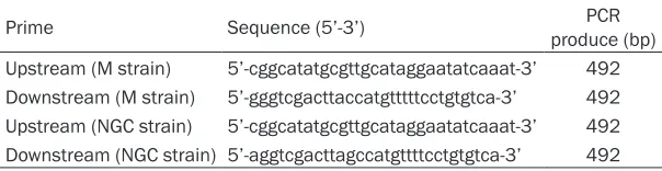 Table 1. Prokaryotic expression primers sequences of M and NGC strains