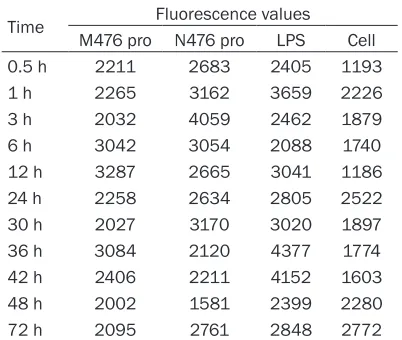 Figure 4. The image of HUVEC cells under fluorescence microscope (200×. A. The combination of HUVEC with M476 protein; B