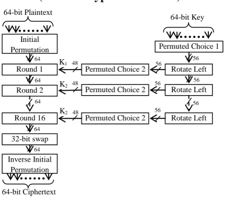 Fig 6: DES Encryption Algorithm 
