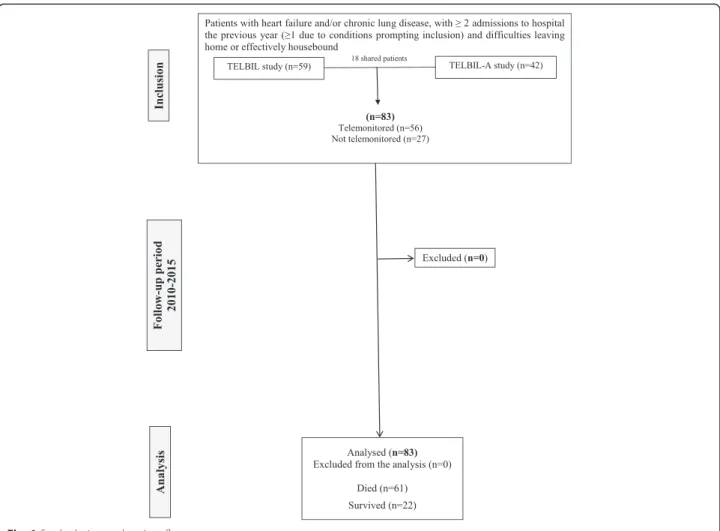 Fig. 1 Study design and patient flow