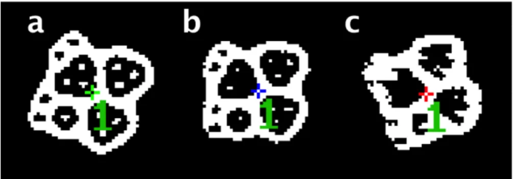 Figure 9: The three tracking modes a) full b) fuzzy and c) root region, depending on the retrieved symbol quality