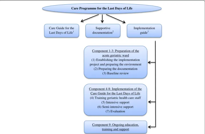 Fig. 1 The Care Programme for the Last Days of Life. 1 A multi-professional document that provides a template of care for the last days and hours of life with recommendations on different aspects of care and guidance for the psychological and spiritual sup