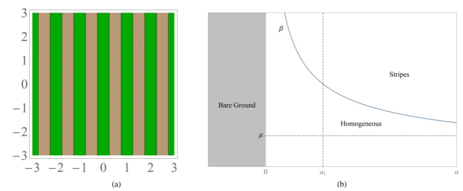 Figure 4. (a) Contour plot of the supercritical stripes of (3.7)-(3.8). Here, the x-variable is measured in units of λc 