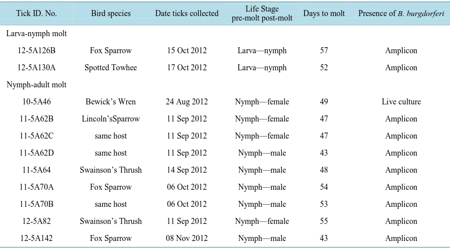 Table 2. Transstadial transmission of Borrelia burgdorferi in fully engorged Ixodes auritulus ticks collected from songbirds on Vancouver Island, British Columbia