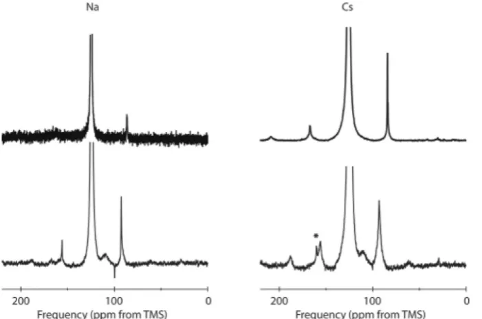 Fig. 2. 13C MAS-NMR spectra of 1 wt% PAA solution exposed to 10% 13C-la-beled scCO2 (A) at a temperature of 99 °C and a pressure of 103 bar, (B) at127 °C and 121 bar, and (C) at 154 °C and 138 bar using a sample spinning rateof 1.0 kHz