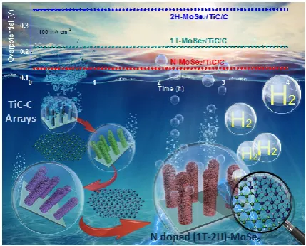 Figure 5. Calculated potential barriers of hydrogen evolution reaction on 2H-MoSe2, 