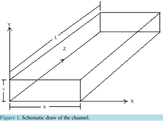 Figure 1. Schematic draw of the channel. 