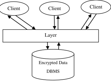 Fig 1: The Layer over the DBMS 