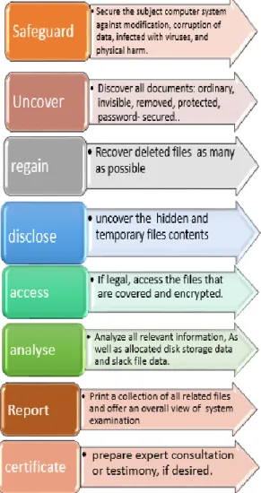 Figure 3.  Types of webs[23] 