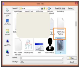 Figure 5. Open file in  Winhex 