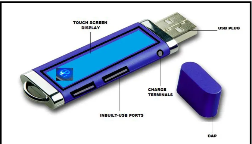 Fig 2: A normal Pen Drive 