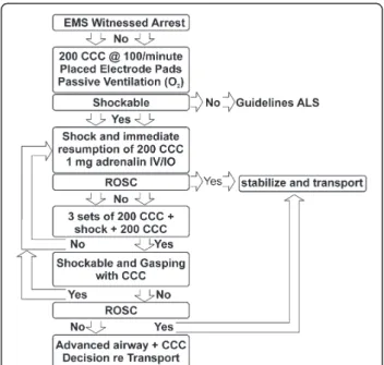 Figure 4 The Emergency Medical Services (EMS) protocol of Cardiocerebral Resuscitation
