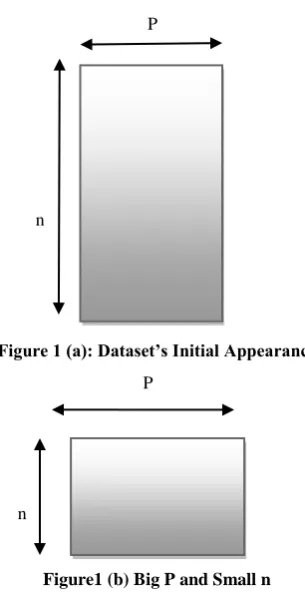 Figure 1 (a): Dataset’s Initial Appearance 