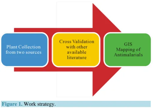 Figure 1. Work strategy. 