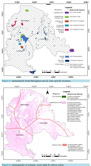 Figure 6. Antimalarials of orchards, waste lands & railway tracks. 