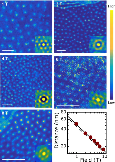FIG. 8. Zero bias conductance maps in ﬁelds of view between