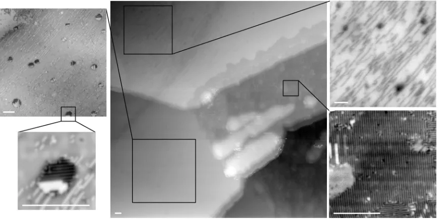 FIG. 9. Features of the surface topography measured by STM in CaKFe4size. The main panel shows a large area with different surfaces (5.6 nm change in height from black to white)