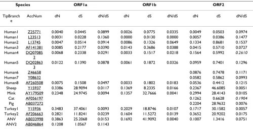 Table 1: Values for (non-)synonymous mutational rates and dN/dS ratios in astrovirus genes
