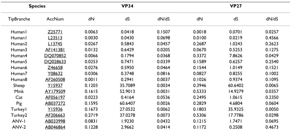 Table 2: Values for (non-)synonymous mutational rates and dN/dS ratios in astrovirus capsid protein genes