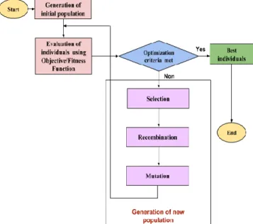 Figure 2. Flow of Genetic Algorithm       3.4   Adaptive genetic algorithms : adaptive                 mutation algorithm 