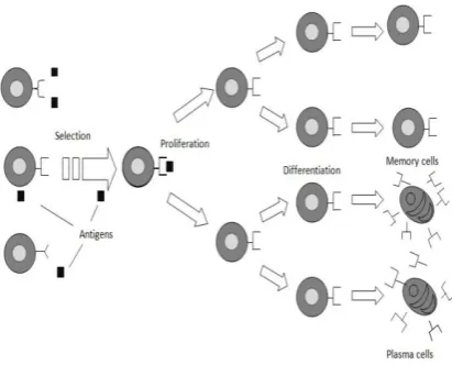 Fig 1: Bloom Filter 