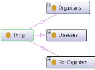 Figure 1 Paddy Ontology 