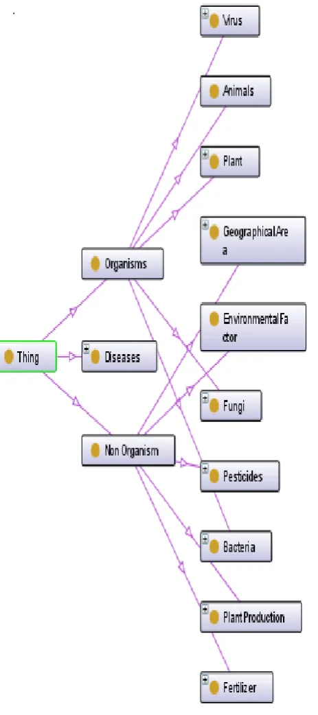 Figure 3.  Paddy Ontology with individuals 