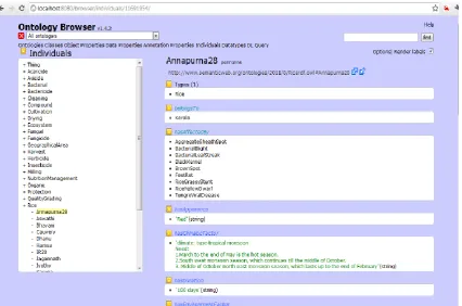 Figure 4.  Paddy Ontology creation using protégé 