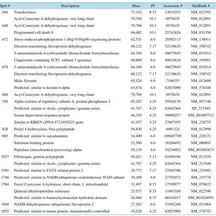 Table 1. Proteins identified by MS/MS spectra.                                                                