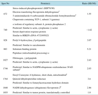 Table 2. Spots in tissues from WT or KO mice placed on 3% NaCl.                         