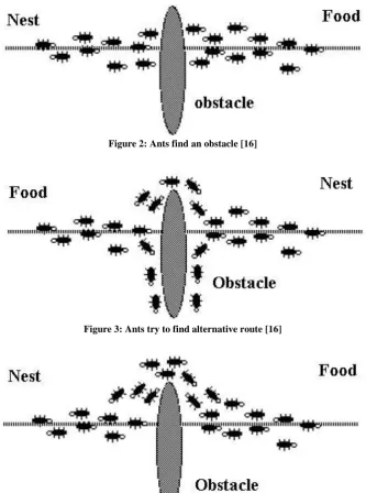 Figure 3: Ants try to find alternative route [16]  